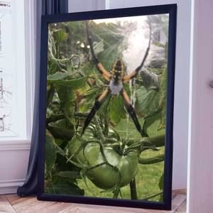 Meet your Posher, Diane